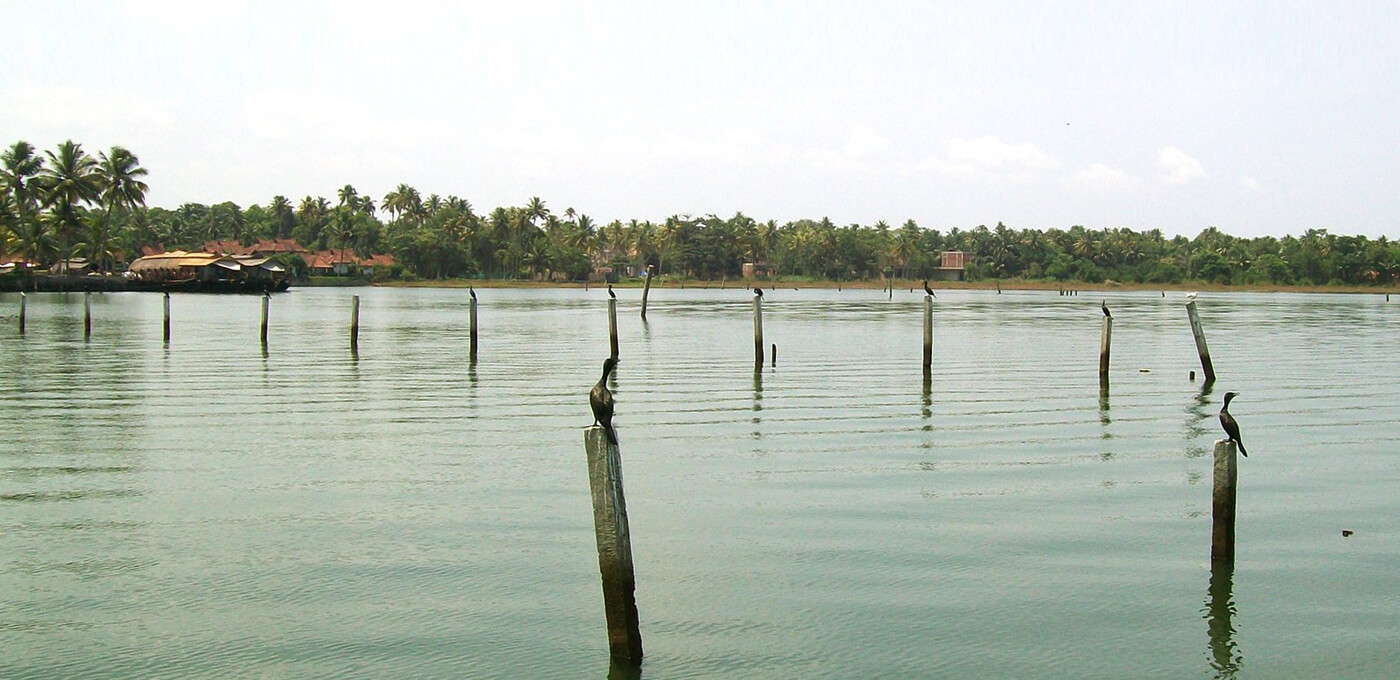 Lilly Ribera Residency